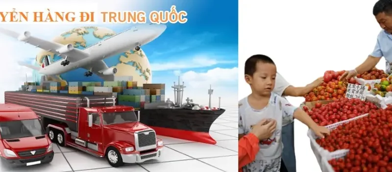 DỊCH VỤ ORDER HÀNG TRUNG QUỐC, MUA HÀNG TRUNG QUỐC UY TÍN TẠI BÌNH AN EXPRESS